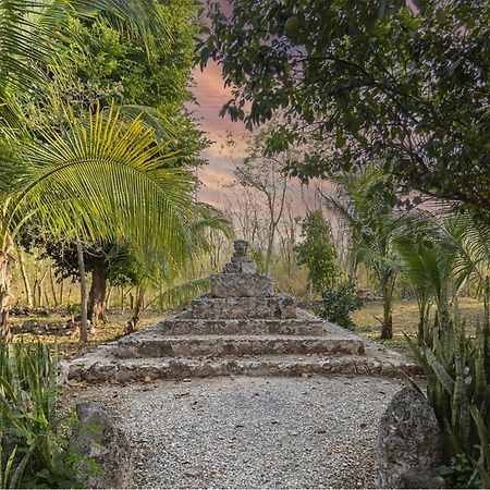 Hacienda Sacnicte Hotel Izamal Bagian luar foto