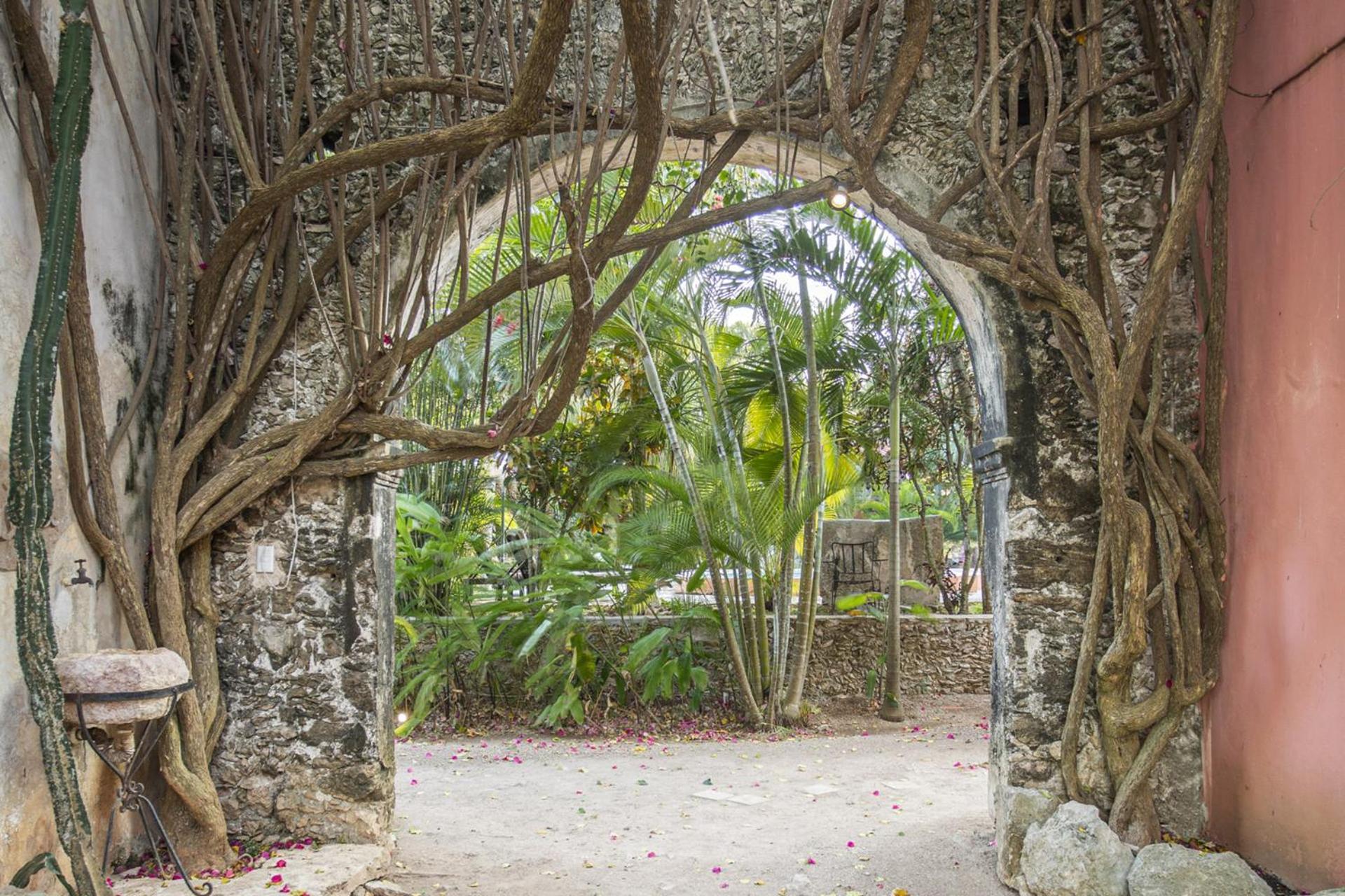 Hacienda Sacnicte Hotel Izamal Bagian luar foto